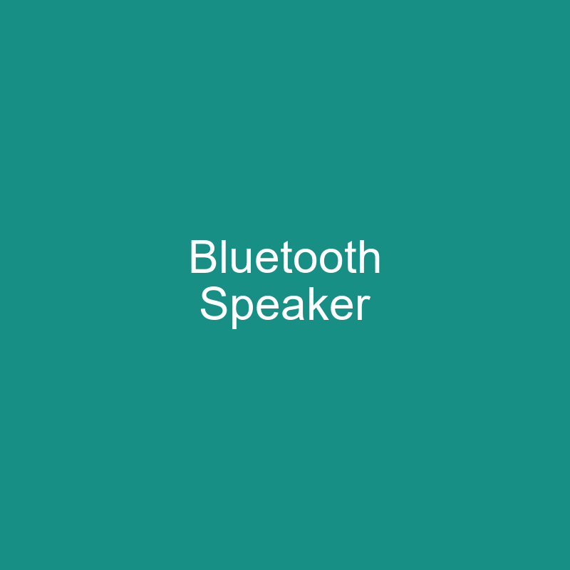 Portable Bluetooth Speaker